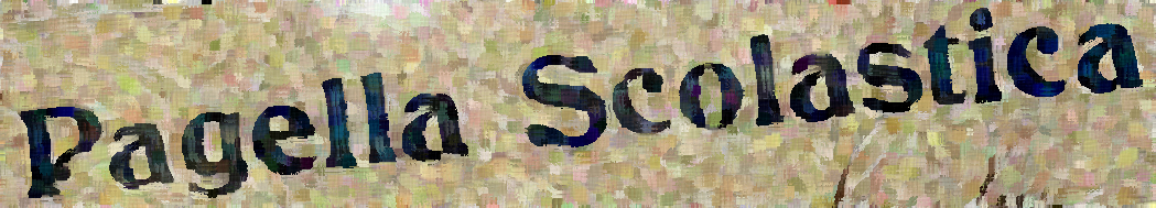 Schede di valutazione