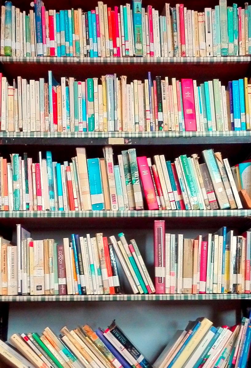 Alternanza scuola/lavoro alla biblioteca della Malaspina