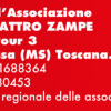 I contatti dell'Associazione Amici a quattro zampe